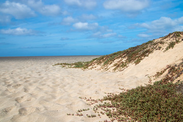 Satrandlandschaft Insel Sal, Kap Verde