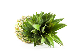 ripe fresh pineapple