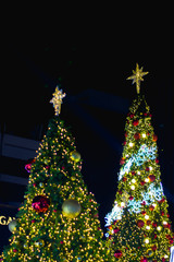 The lighting Christmas tree.