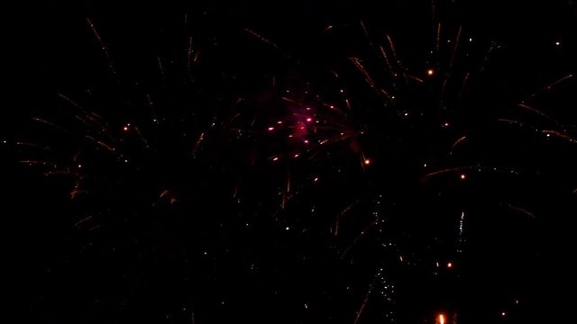 Fireworks exploding in various colors in the dark night sky