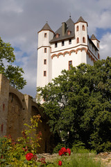 Burg Eltville