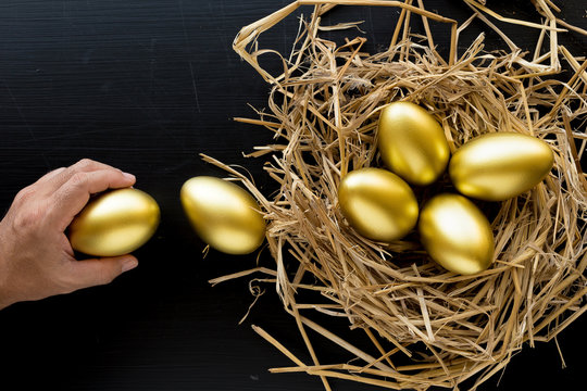 Nest Full Of Golden Eggs, Man Holding A Golden Egg On Black Background. Financial Success