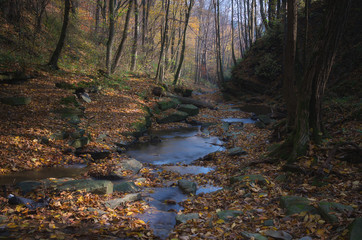 Jesienny potok