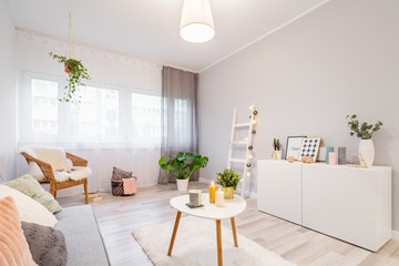 Decorations in scandinavian living room