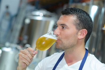 brewer testing beer at brewery factory