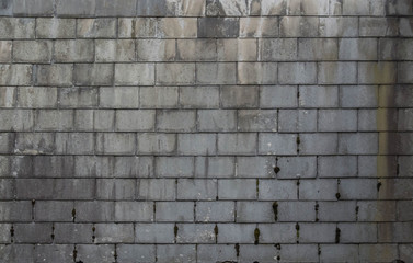 English Roof Tile Textures