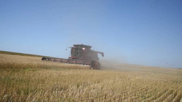 Trigo, cosecha y maquinaria, Argentina.
