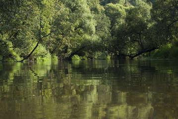 зеленая река 