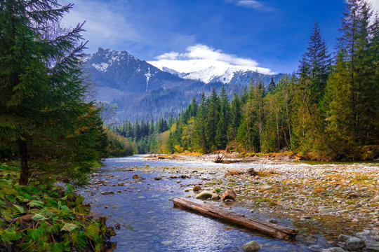 Fototapeta widok na tatry