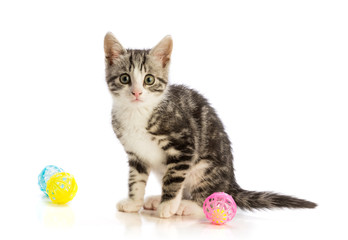 Fototapeta na wymiar Lovely kitten with balls