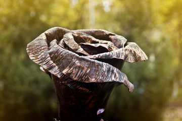 Iron rose on a background of a garden close up