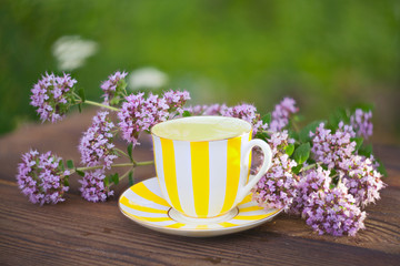 delicious  oregano tea in a beautiful glass bowl on table