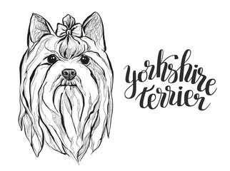 Graphic drawing of the dog Yorkshire Terrier with lettering. Vector illustration - 185510761