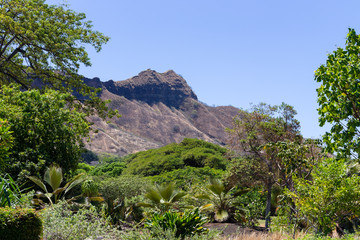 The tip of the cone on the Diamond Head crater © Ozgur Coskun