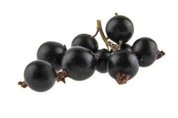 Black currant isolated on white background