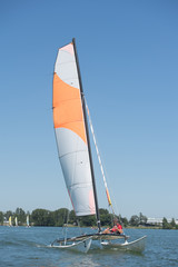 Fototapeta premium sailing on a lake - summer and sports theme