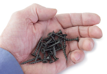 Screws on the palm a white background