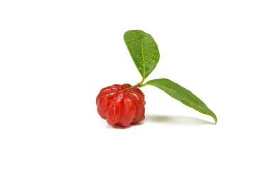 One Suriname cherrys in white background