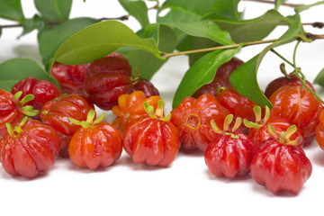 Suriname cherrys in white background