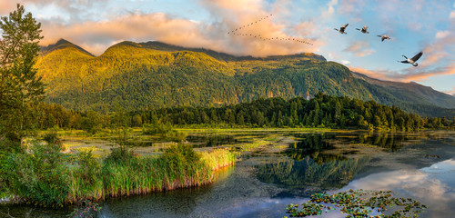 Cheam Lake Wetlands Regional Park, Rosedale, British Columbia, Canada - obrazy, fototapety, plakaty