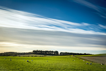 Fototapeta premium Green field and blue sky with silky white clouds