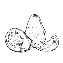 Vector avocado in line art. Isolated on white background.