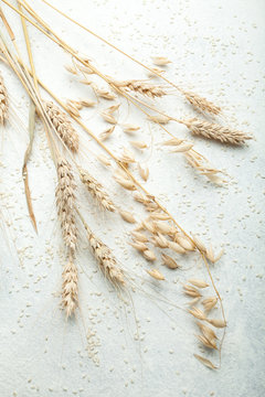 Golden ears of wheat and oats on a white table.