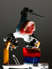 False teeth prosthesis