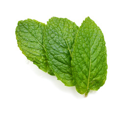 Three fresh mint leaves isolated on white background. Studio macro