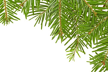 Naklejka na ściany i meble Christmas fir tree frame background. Spruce twigs on white background.