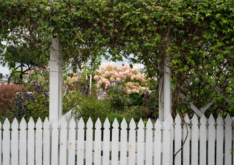 Naklejka premium Small colorful garden in old town of Stavanger