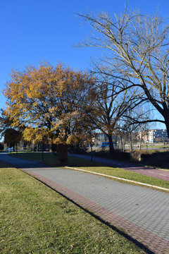 Parques y paseos al aire libre.