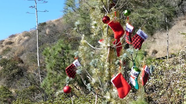 Christmas decoration on a tree in Dante's View, Los Angeles California, United States