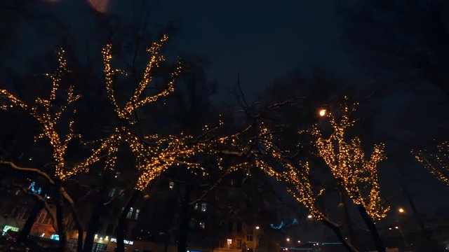 Trees decorated with Christmas festive lights at night