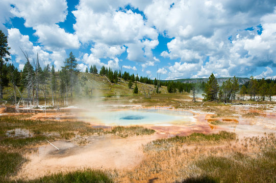 Natural Hot Spring, Yellowstone National Park