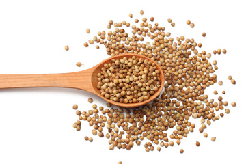 coriander seeds in wooden spoon isolated on white background top view