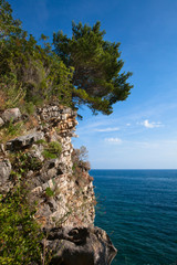 the Rock with lonely tree near blue water of adriatic sea. Montenegro