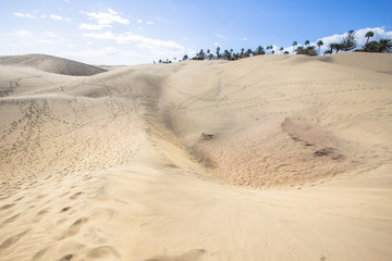 Maspalomas Sand Dune Desert, Grand Canaria