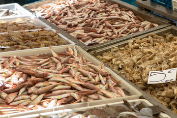 Seafood in the fish market