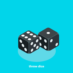 black dice on a blue background, isometric image
