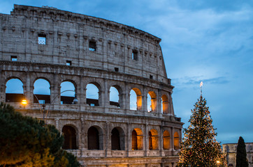 Obraz premium The Coloseum of Rome, Italy