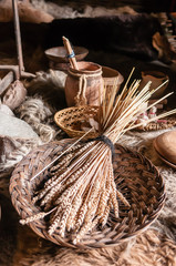 Bundle of wheat in a basket in a replica iron-age dwelling