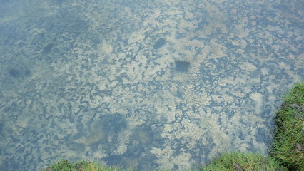 Clear water in Iceland
