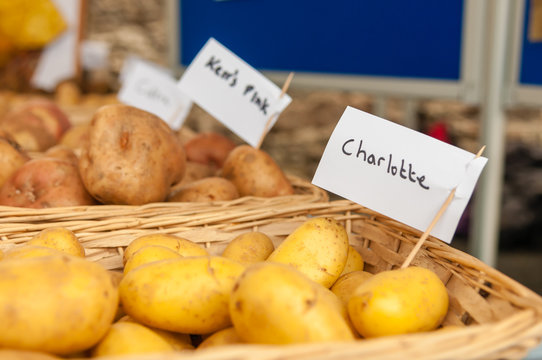 Charlotte and Kerr's Pink potatoes on display at a food fair.