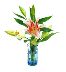 Lily flower vase isolated white