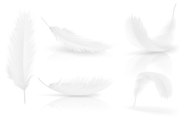 Realistic 3d white bird feathers set. Symbol of lightness, innocence, hope and heaven. Various shapes of Angel or bird detailed feathers. Vector isolated illustration on a white background.