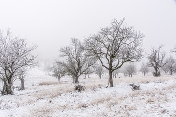 Black and White hiking