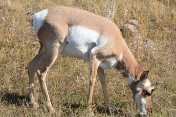 This is my BEST pose!