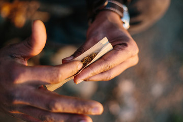 Hands holding hashish and tobacco. Hash which is a drug made from herbal cannabis marijuana - obrazy, fototapety, plakaty