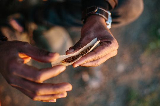 Hands holding hashish and tobacco. Hash which is a drug made from herbal cannabis marijuana